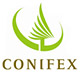 Conifex Timber