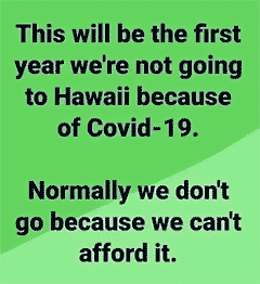 This will be the first year we're not going to Hawaii because of COVID-19. Normally we don't go because we can't afford it.